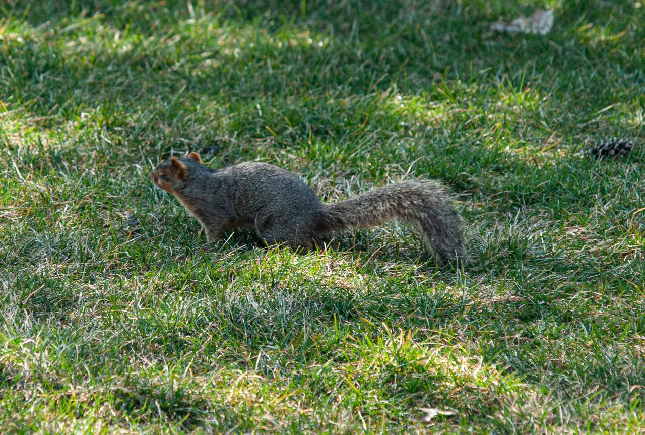 P1010768 copy.jpg