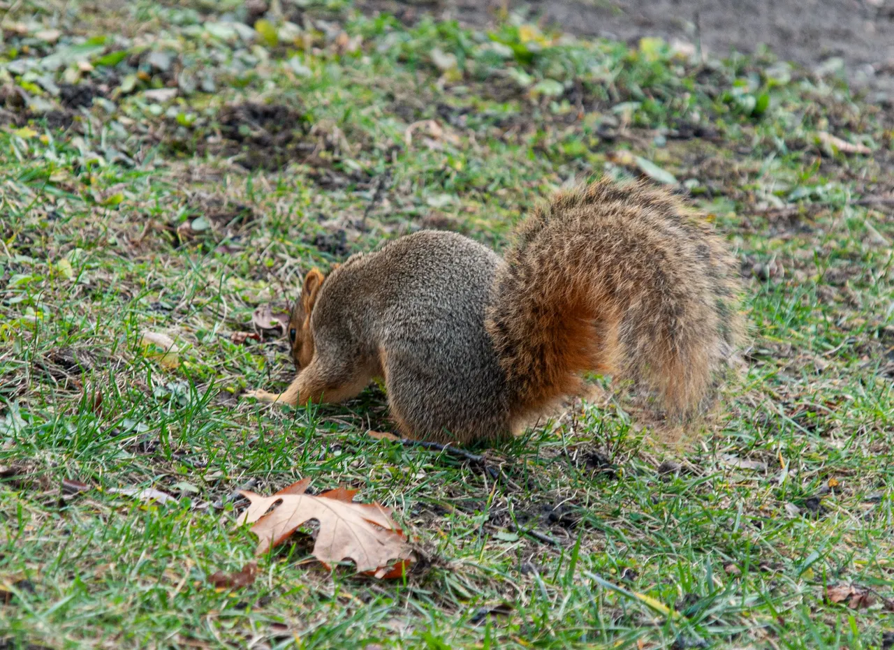 P1012530 copy.jpg
