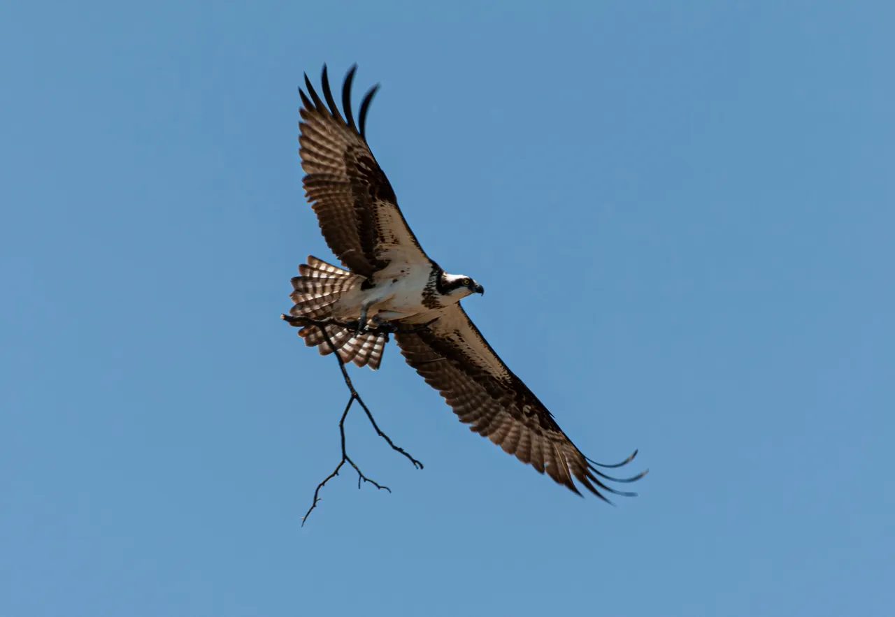 P1013329-Enhanced-NR copy.jpg