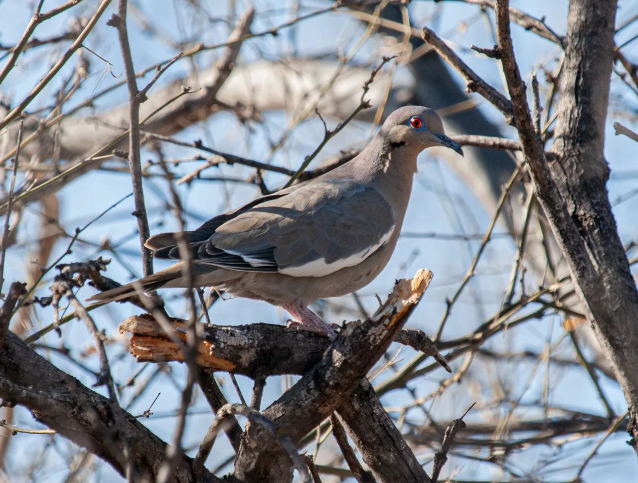 P1012869-Enhanced-NR copy.jpg