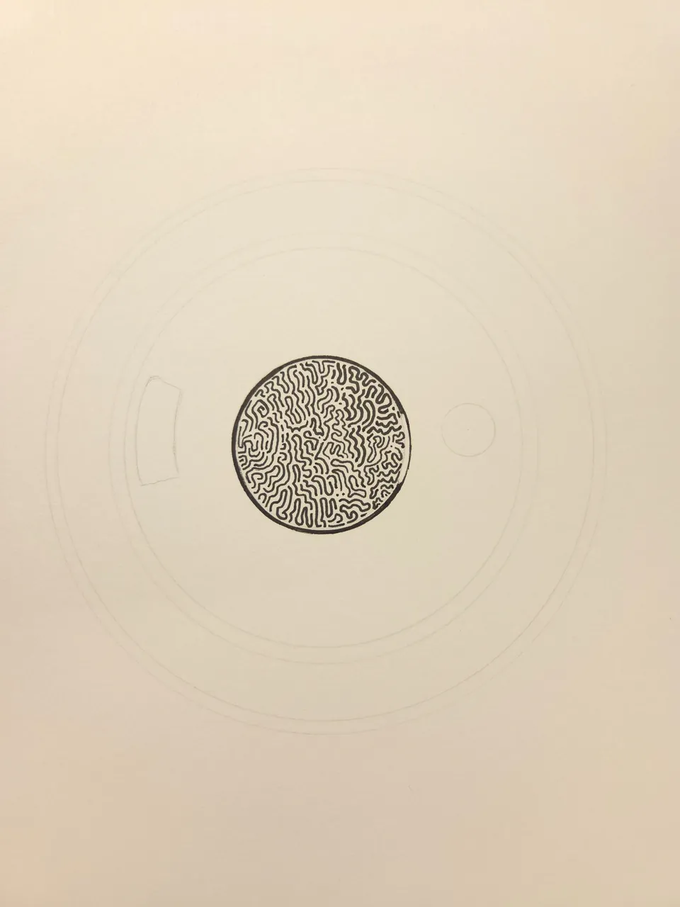 1000001138.jpg
