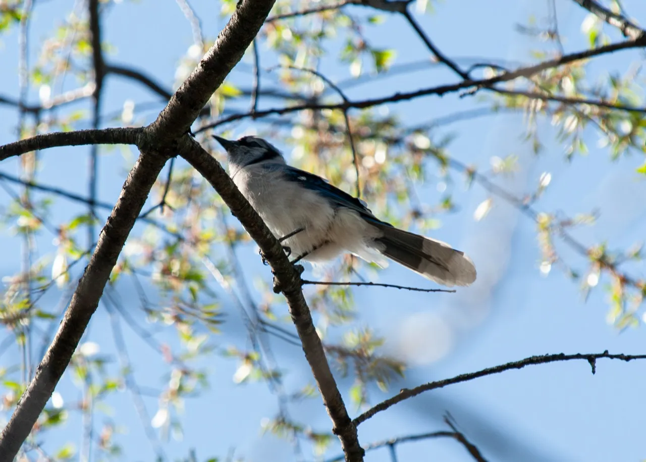 P1013240-Enhanced-NR copy.jpg