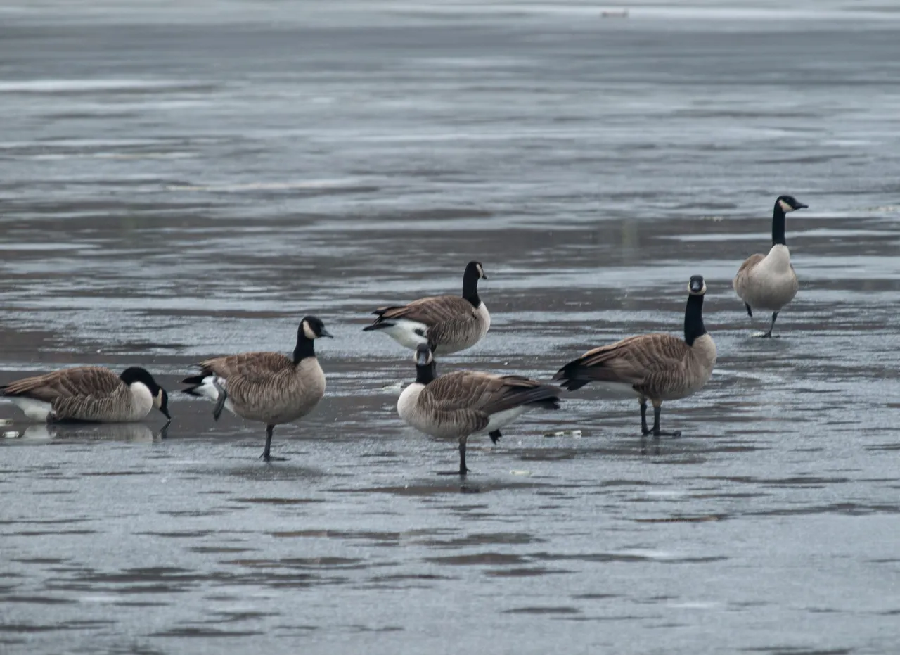 P1012635-Enhanced-NR copy.jpg