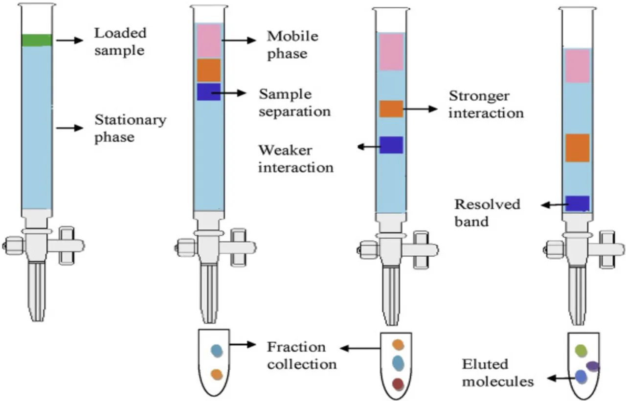 chromatography2.jpg