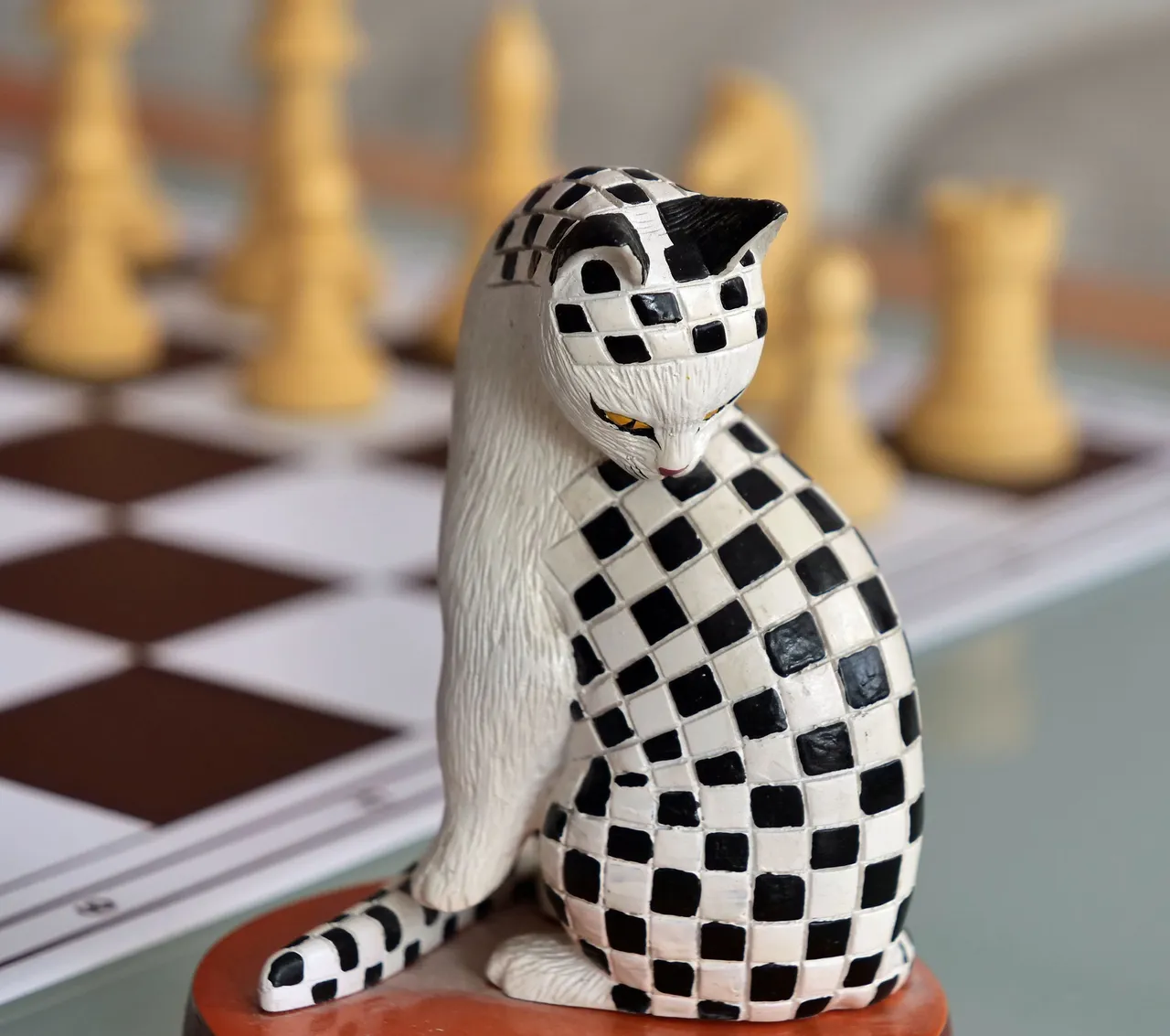 chesscat.jpg