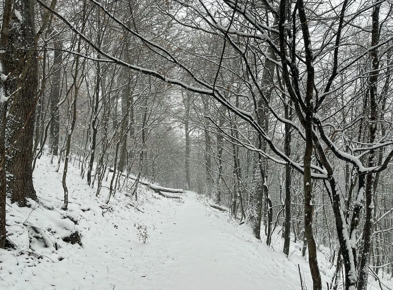 IMG-4662.jpg