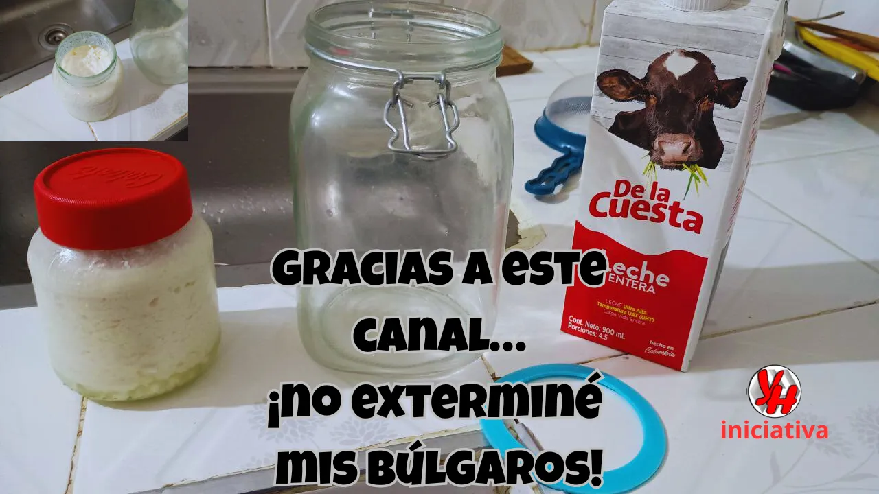 Gracias a este canal… ¡no exterminé mis búlgaros!.png