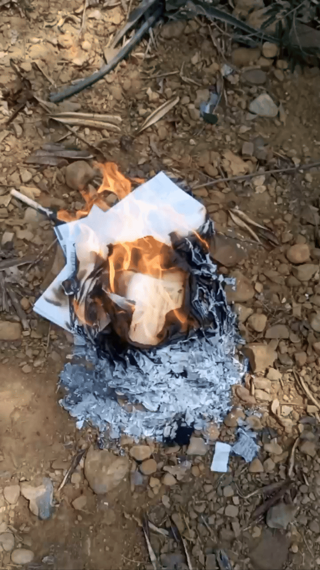 video_2025-03-11_16-26-43.gif