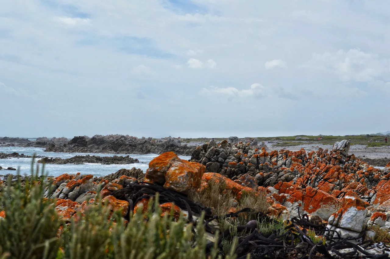 Photos see verjaarsdag 291-02.jpeg