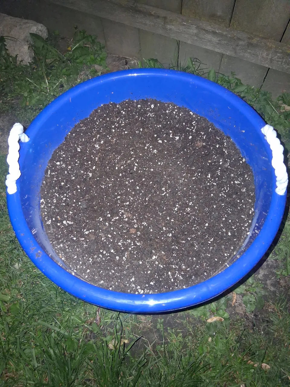 1000000565.jpg