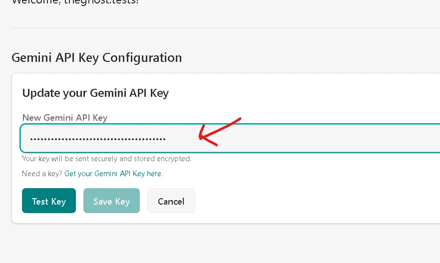 7 - paste new apikey - profile - aegisPad.png