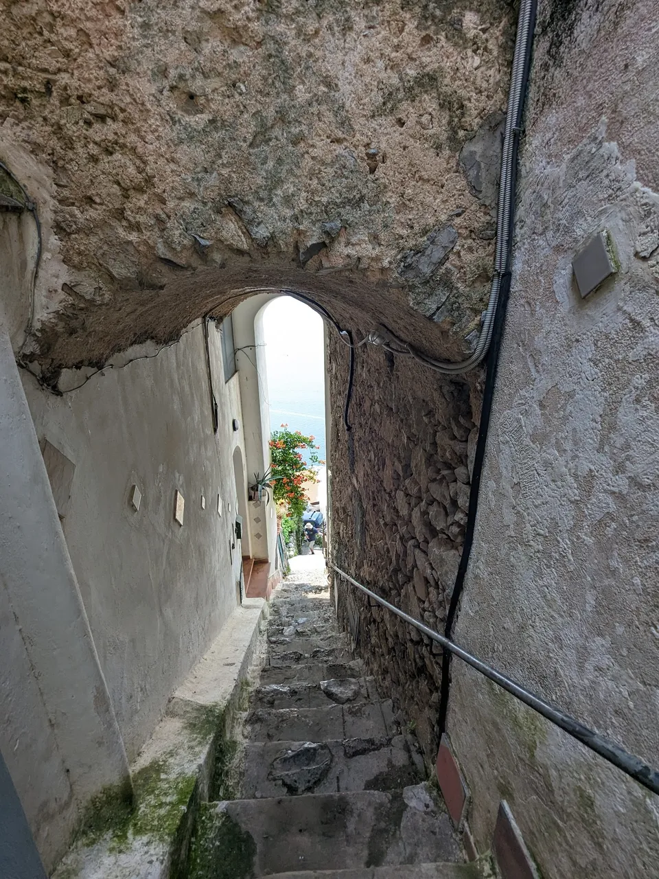 PXL_20230701_092419011.jpg