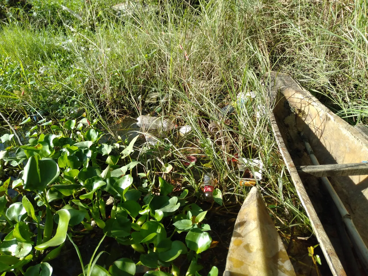 IMG20221106074943.jpg
