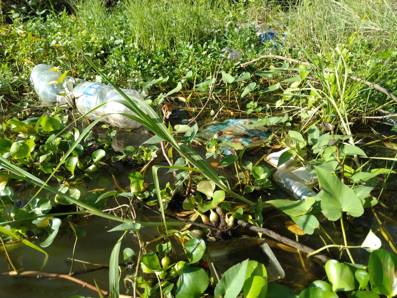 IMG20221106075031.jpg