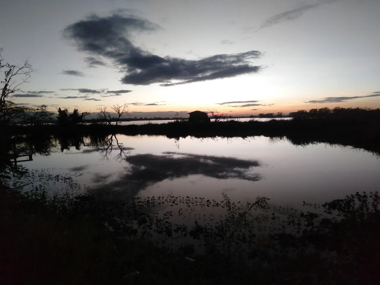 IMG20221207055705.jpg