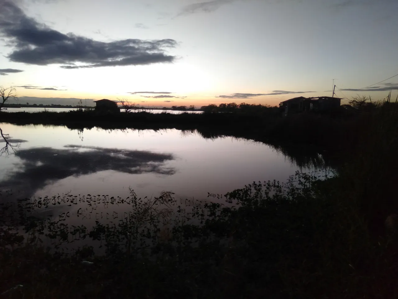 IMG20221207055716.jpg