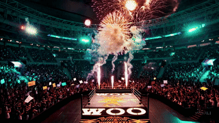 20250110_0642_Wrestling Spectacle Extravaganza_simple_compose_01jh8amk4yfcr8g6qc00enw0nx.gif