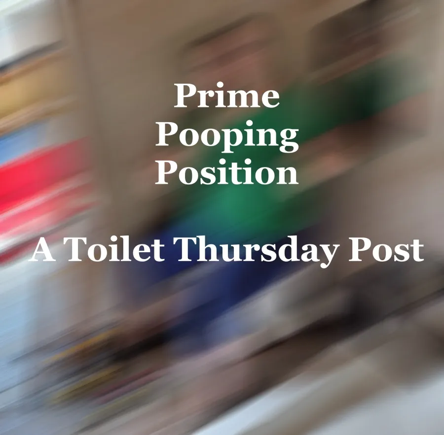 Prime Pooping Position A Toilet Thursday Post