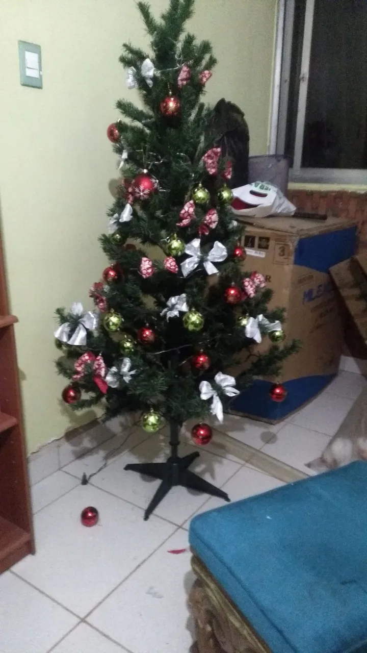 IMG-20221204-WA0003.jpeg