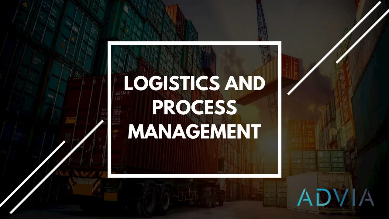 8adviaconsultinglogisticsandprocessmanagement.jpg