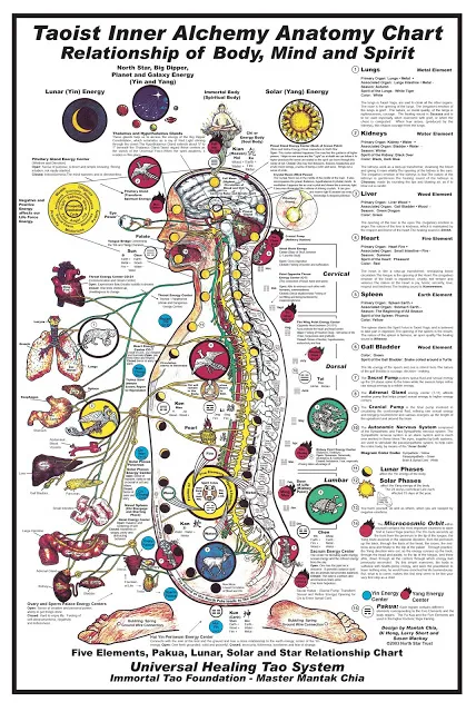 Taoist-Body-Mind-Spirit-Inner-Alchemy-Anatomy-Chart.jpg