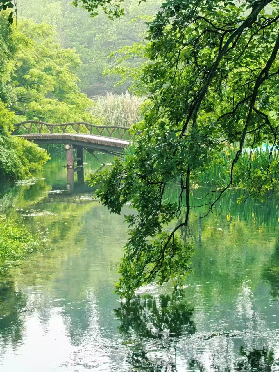 微信图片_20250611223927.jpg