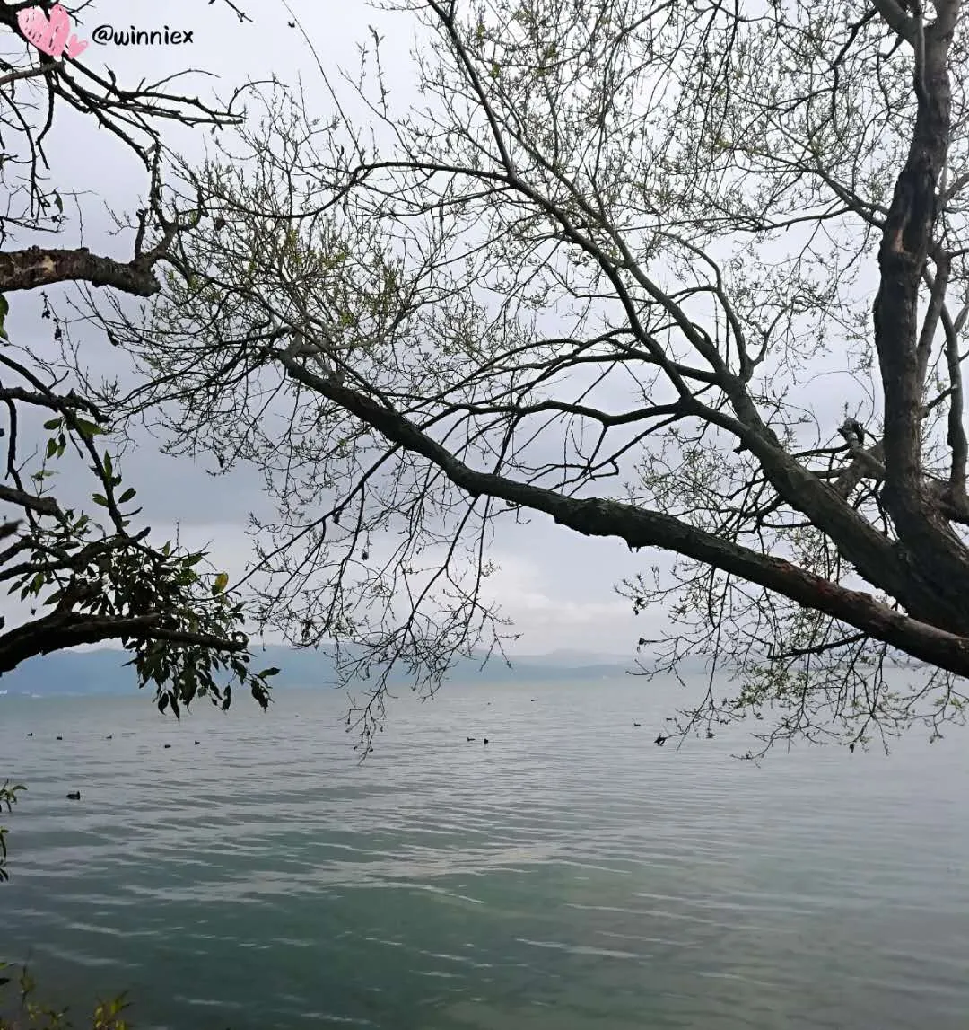 _20200804221628.jpg