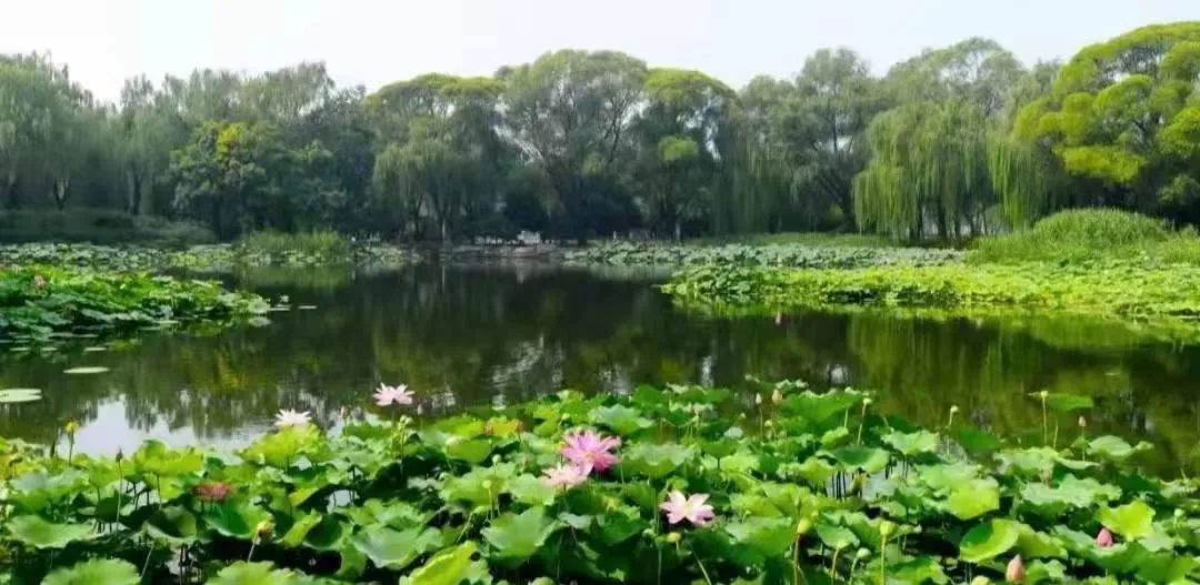 微信图片_20220612201833.jpg