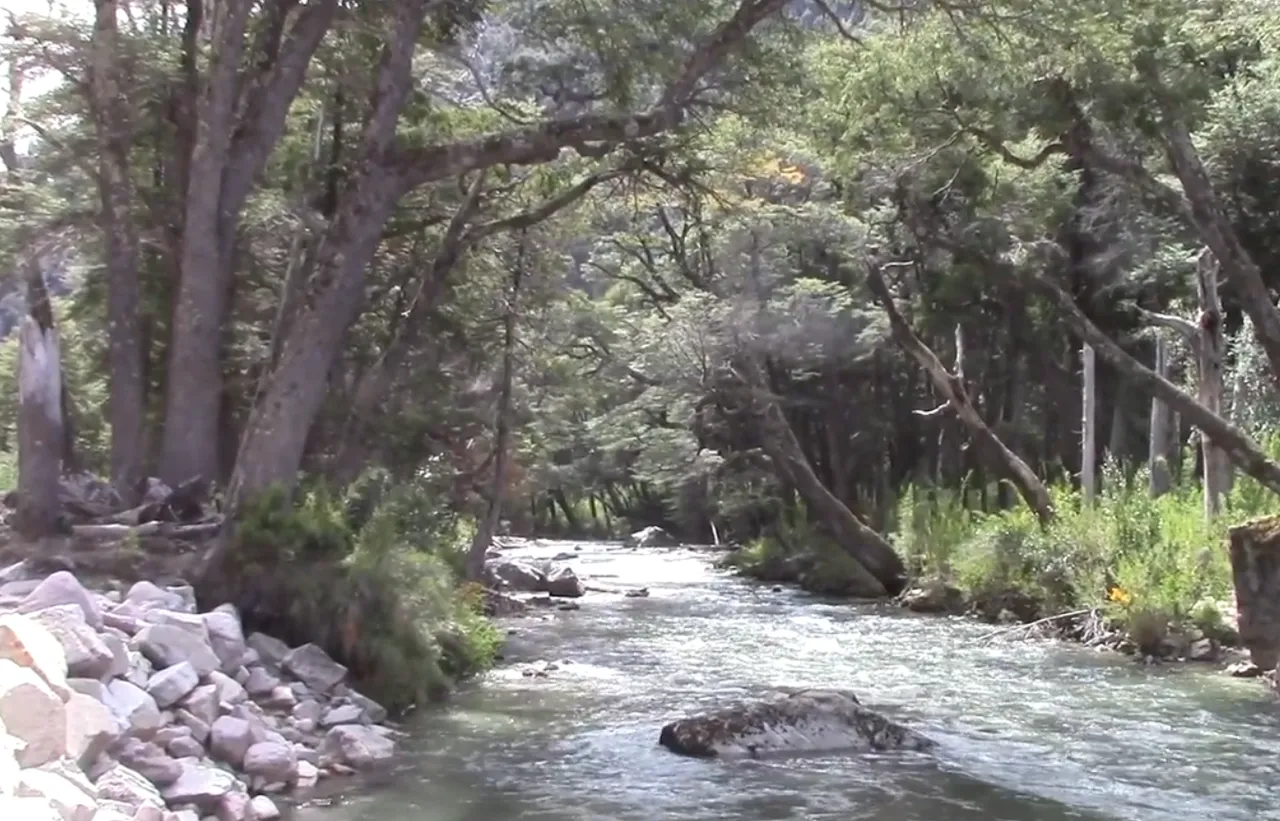 26.-Ruta-de-los-7-Lagos-(3a-Parte)-Lago-Escondido-2.png