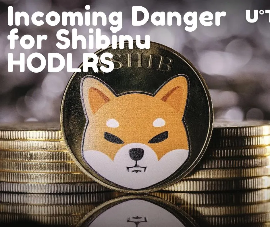 In coming Danger for Shibinu HODLRS 1.jpg