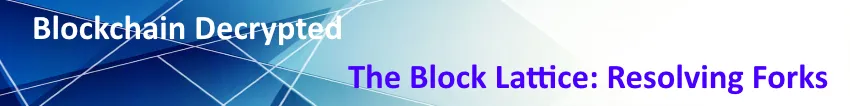chapter 14 - block lattice - 7 forks.png