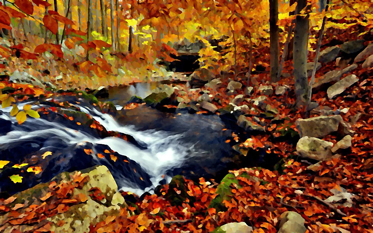 Nature_Seasons_Autumn_In_the_autumn_forest_029987_.jpg