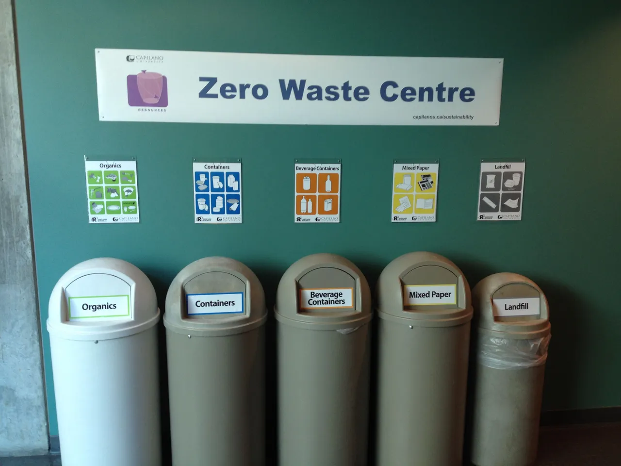 Final Zero Waste Station set up- Birch.JPG