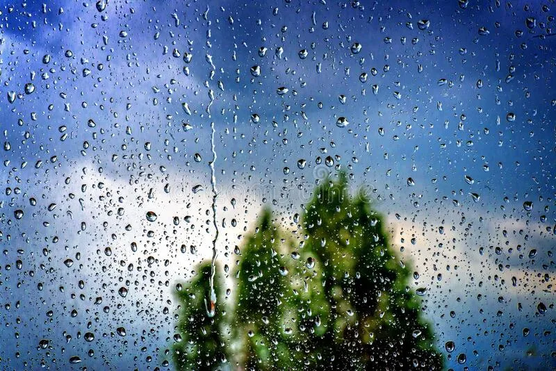 lágrimas-de-lluvia-verano-en-mi-ventana-gotas-agua-un-cristal-afuera-la-contra-el-fondo-del-cielo-azul-y-los-grandes-árboles-182615859.jpg