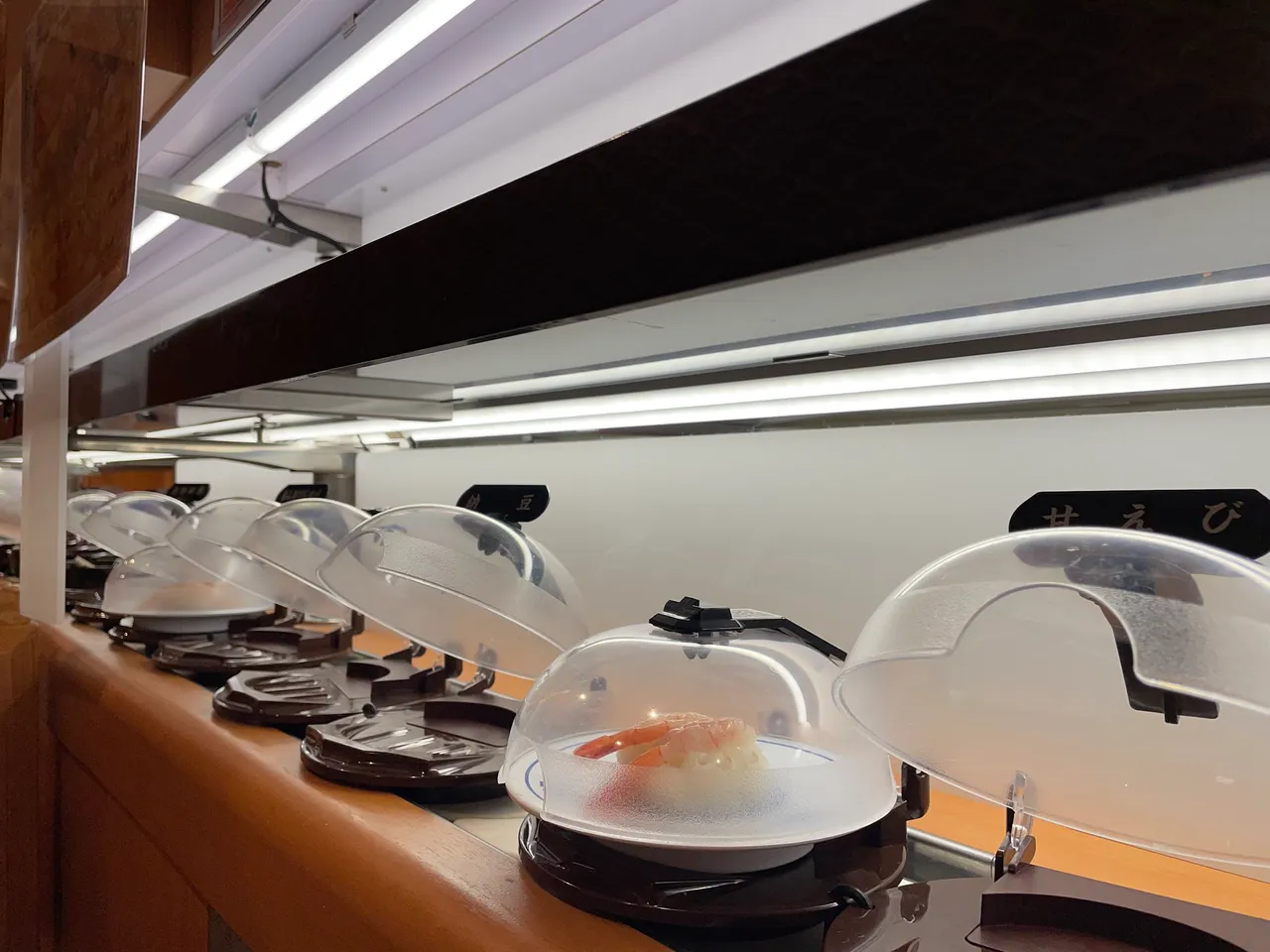 Kaiten Zushi but we dined late so many empty ones