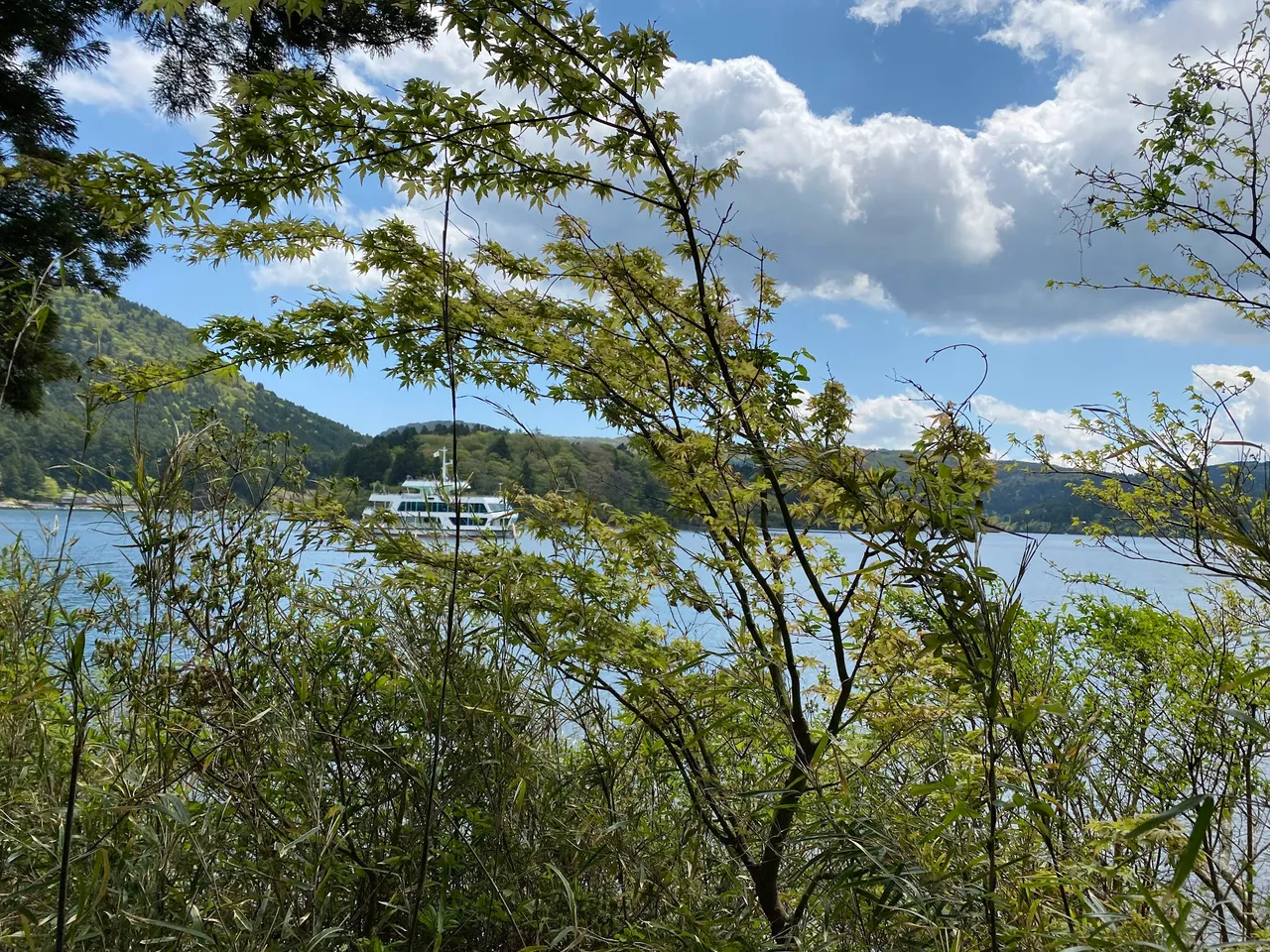 Sightseeing boat sailing in Lake Ashi