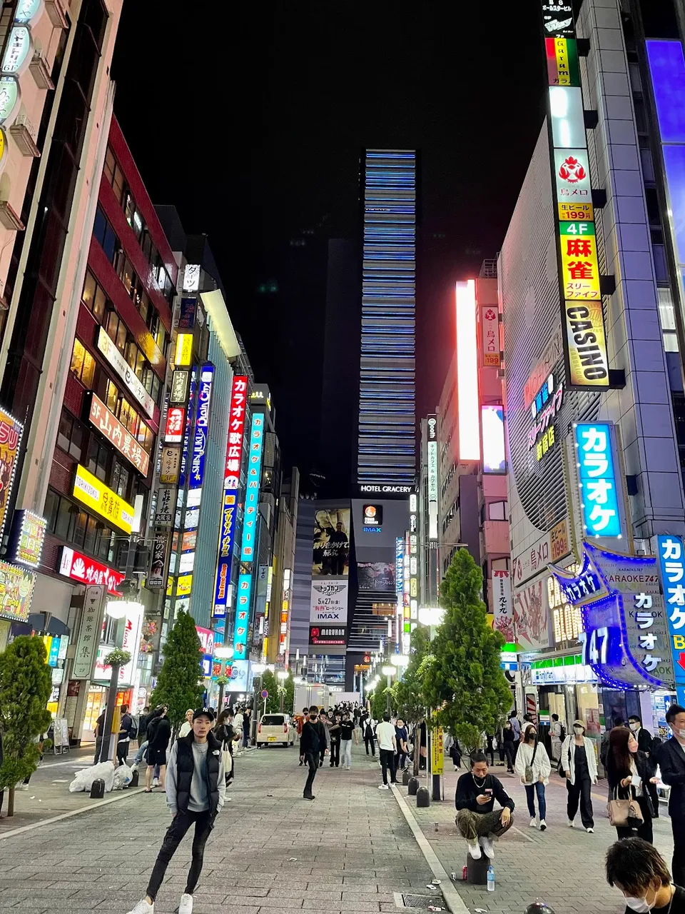 Main Alley in Kabukicho, the Red Light District. Idk what that guy was doing as if he's posing for a photo LOL