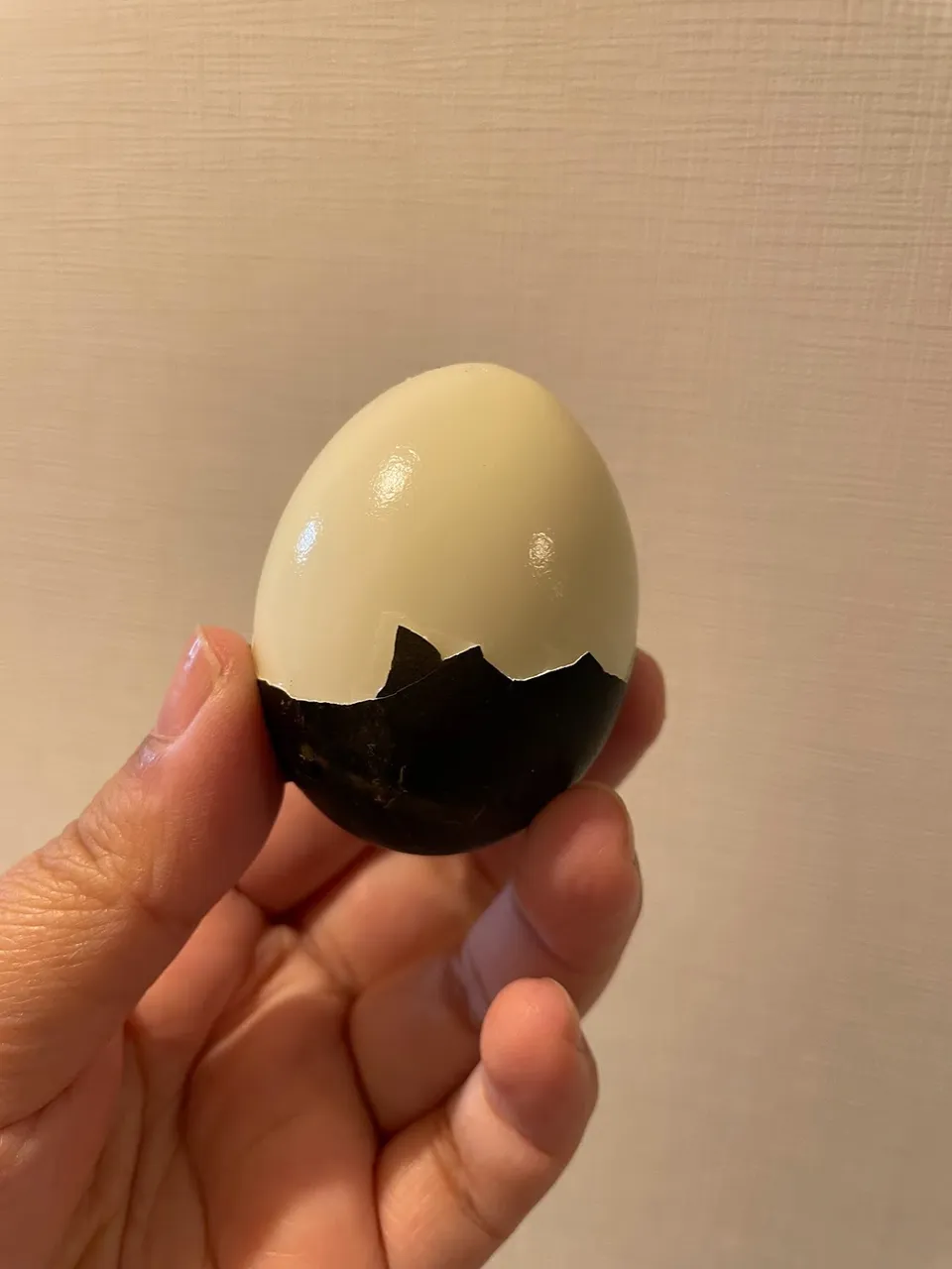 See? Kuro-tamago is a boiled egg