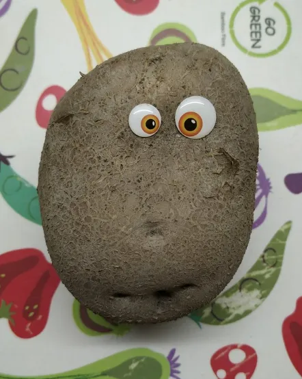 O Pequeno Potatinho! by @tellurian