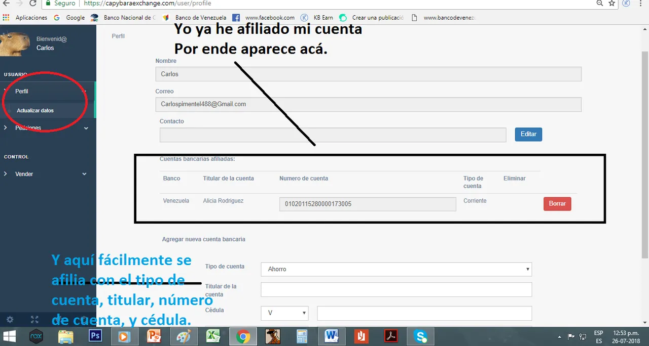 capy1.png