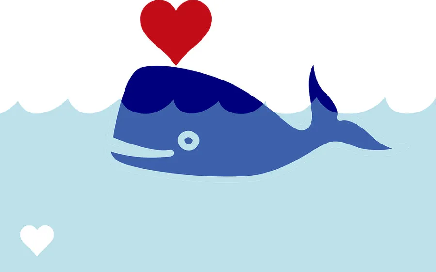 whale.jpg