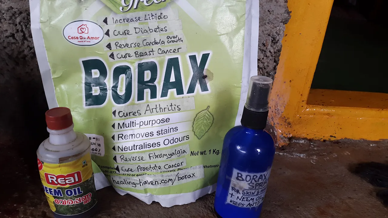 Borax.jpg