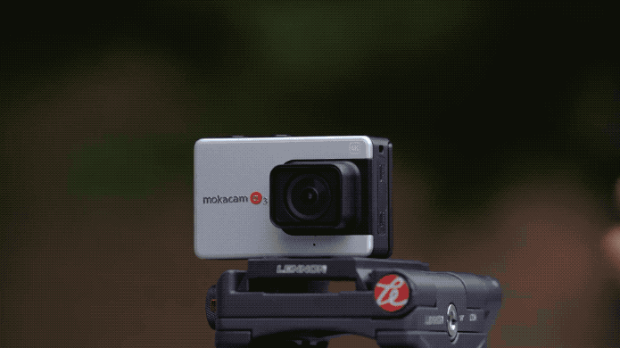 Flip3.gif