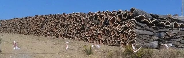 kork2.jpg