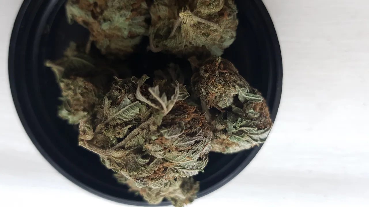 kush8.jpg