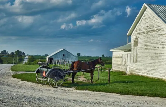 amish.jpg