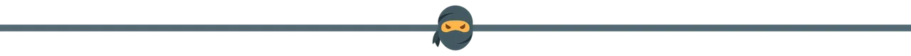 Ninja.png