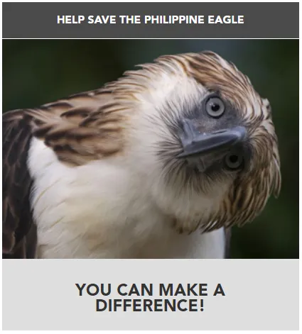 Eagle.png