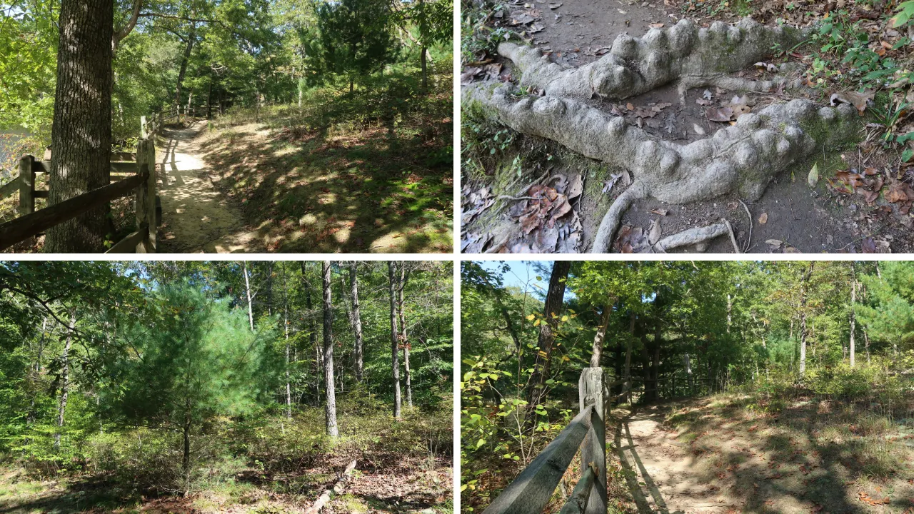 trail.png