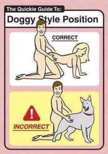 noobs.jpg